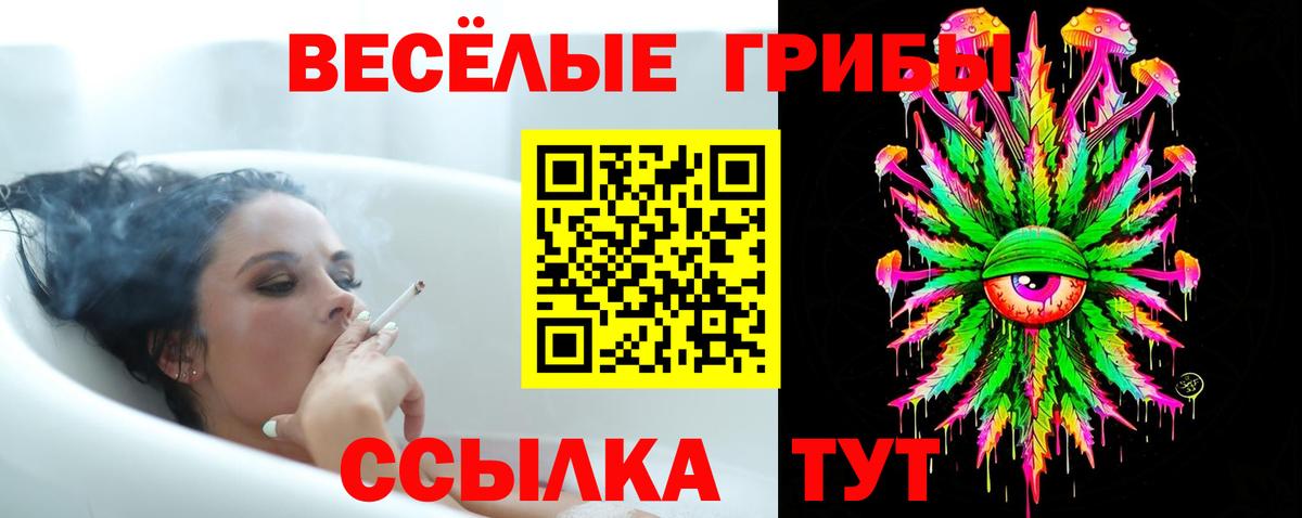 Псилоцибиновые грибы прущие грибы  Вход с VPN  Псилоцибиновые грибы ЛСД  Кропоткин 